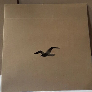 HOLLISTER BOX'S (10)